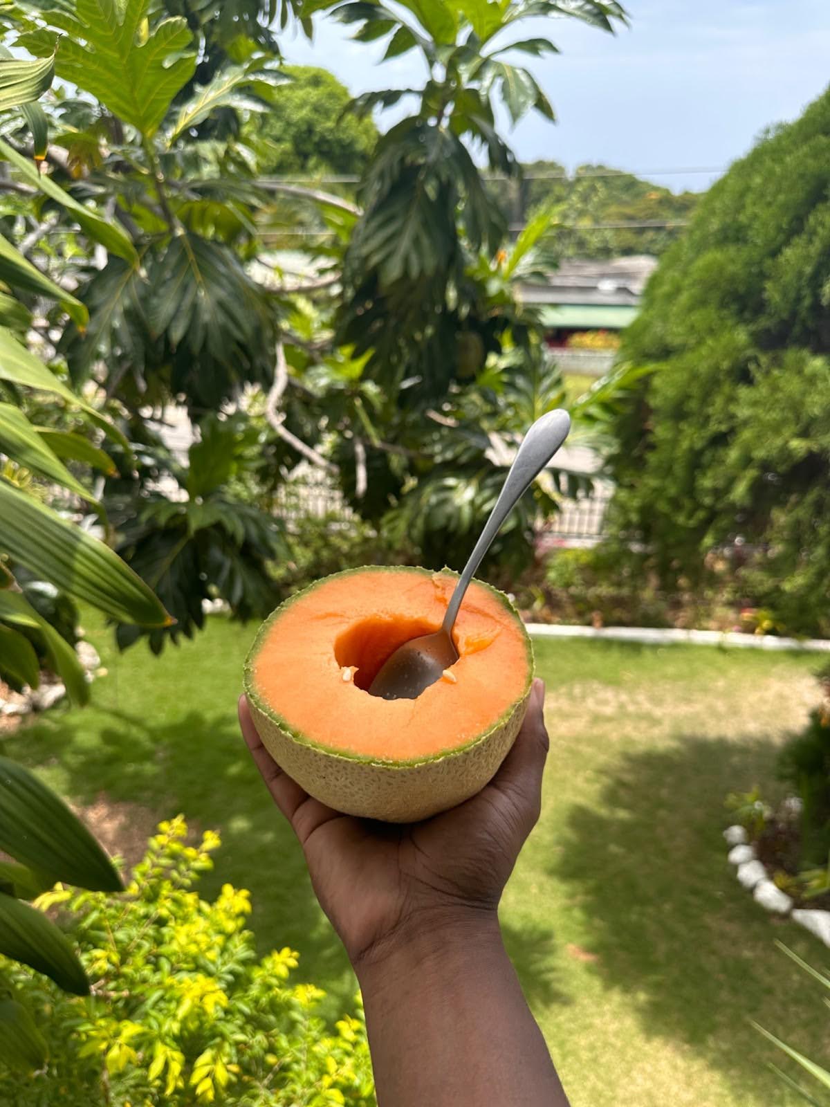 Taste the Land — Jamaica