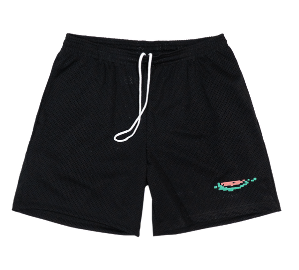 DIGI WATERMELON MESH SHORTS